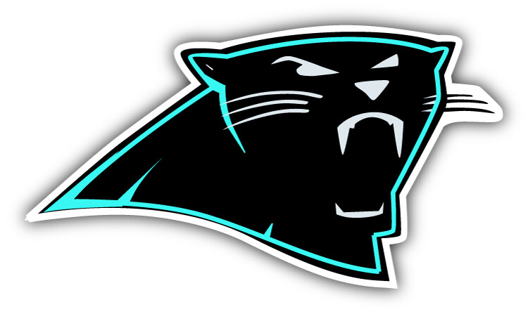 Carolina Panthers NFL Football Sport Logo Car Bumper Sticker Decal "SIZES"