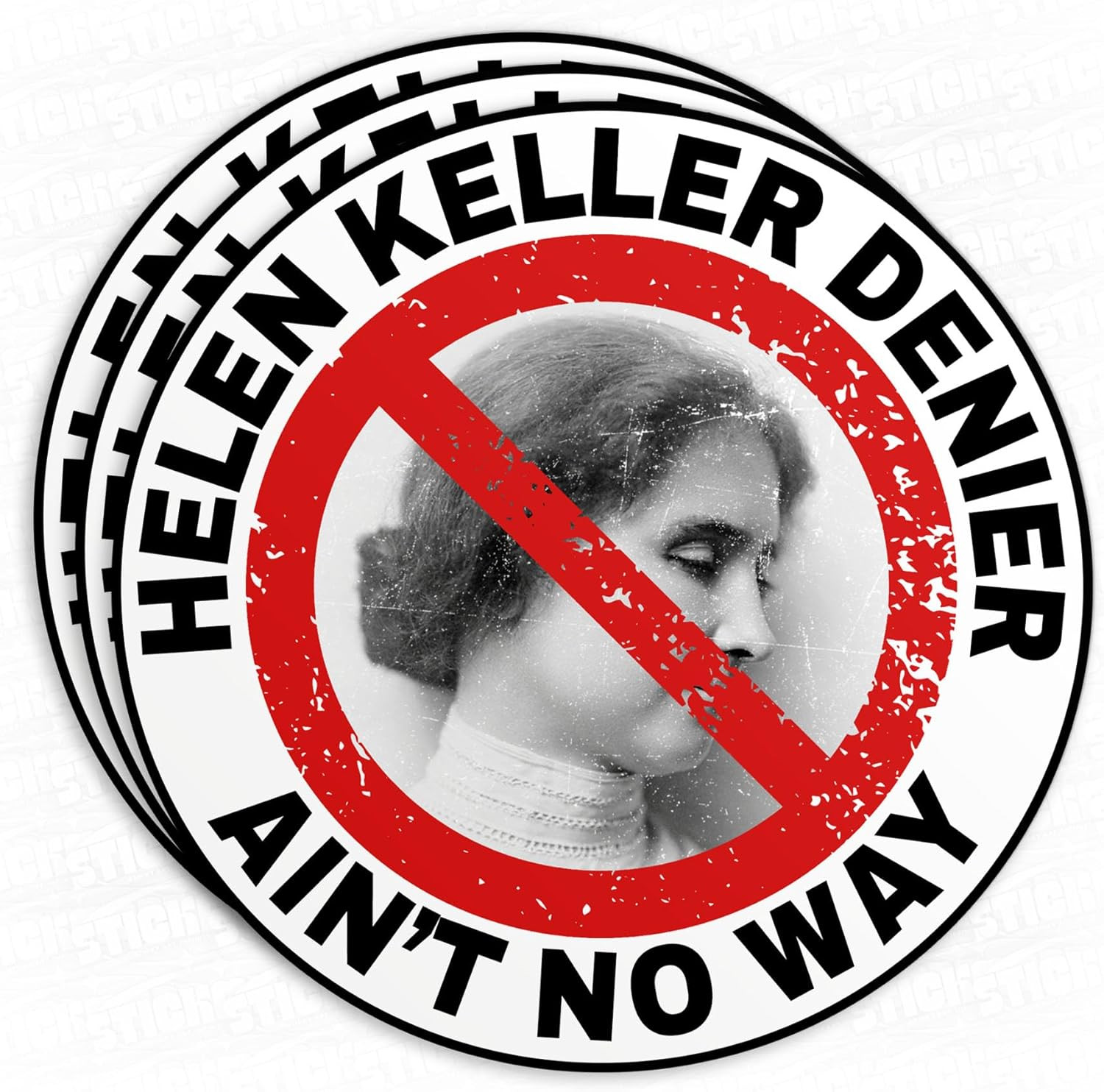 3Pc Helen Keller Denier Matte Stickers 3" Vinyl for Laptop Kindle Water – US