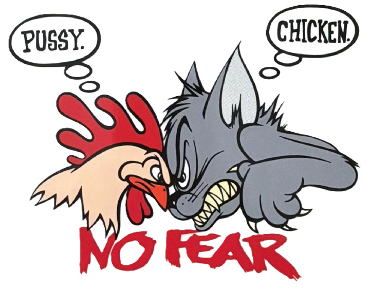 NO FEAR – CHICKEN & CAT – PUSSY / CHICKEN – FUN – HUMOR – Sticker – Decal