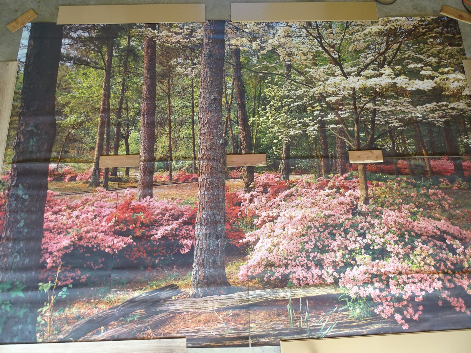 Full Wall Photo Mural Azaleas & Dogwoods Trees Railroad Track 8’ 8” x 12’ 6” NOS