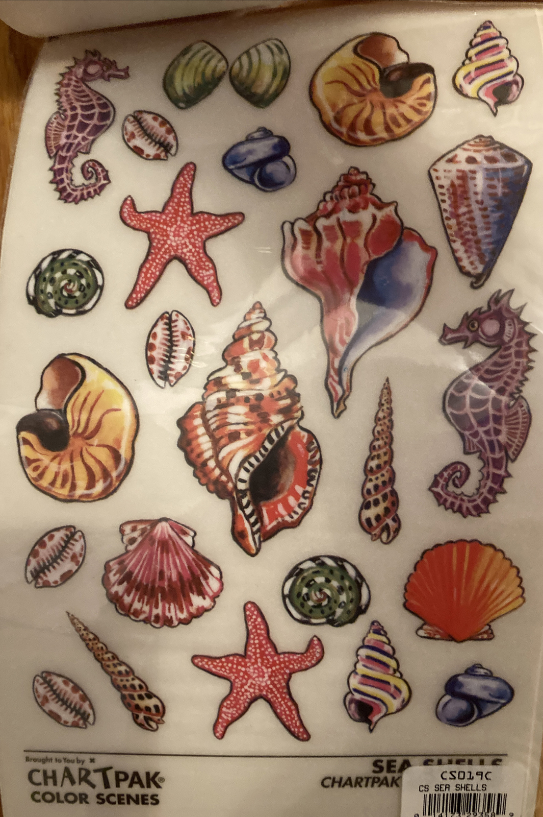 Rub On Art Chartpak Sea Shells