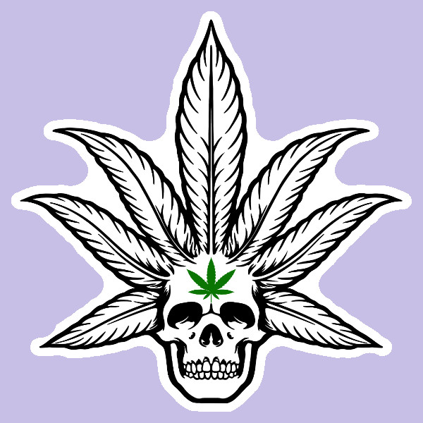 Weed Smoking Pot Leaf Skull Vinyl Decal Marijuana Sticker 420 Smoke Cannabis