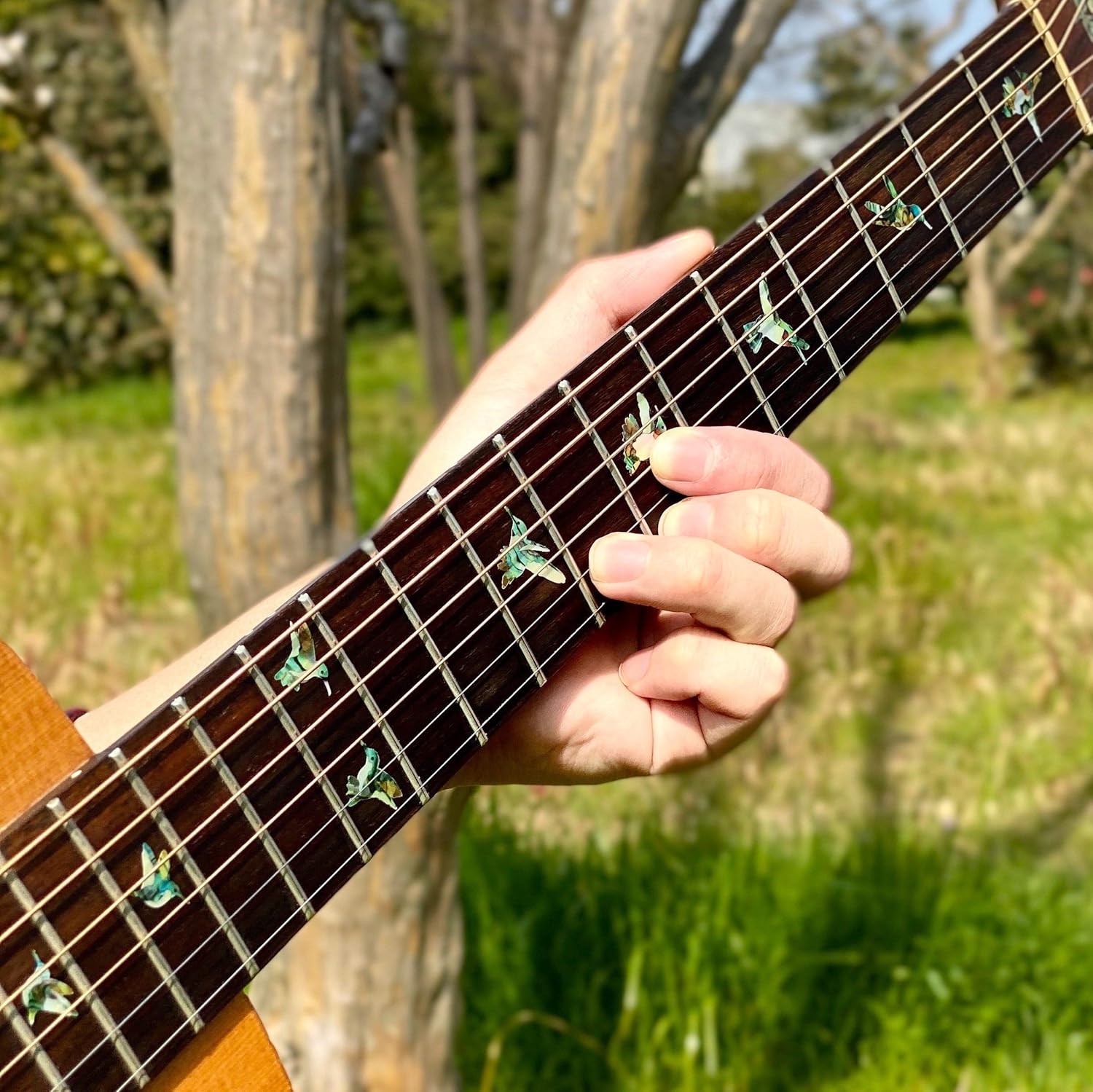 Inlaystickers Bee Hummingbirds – Fret Markers Inlay Stickers Decals for Guitars