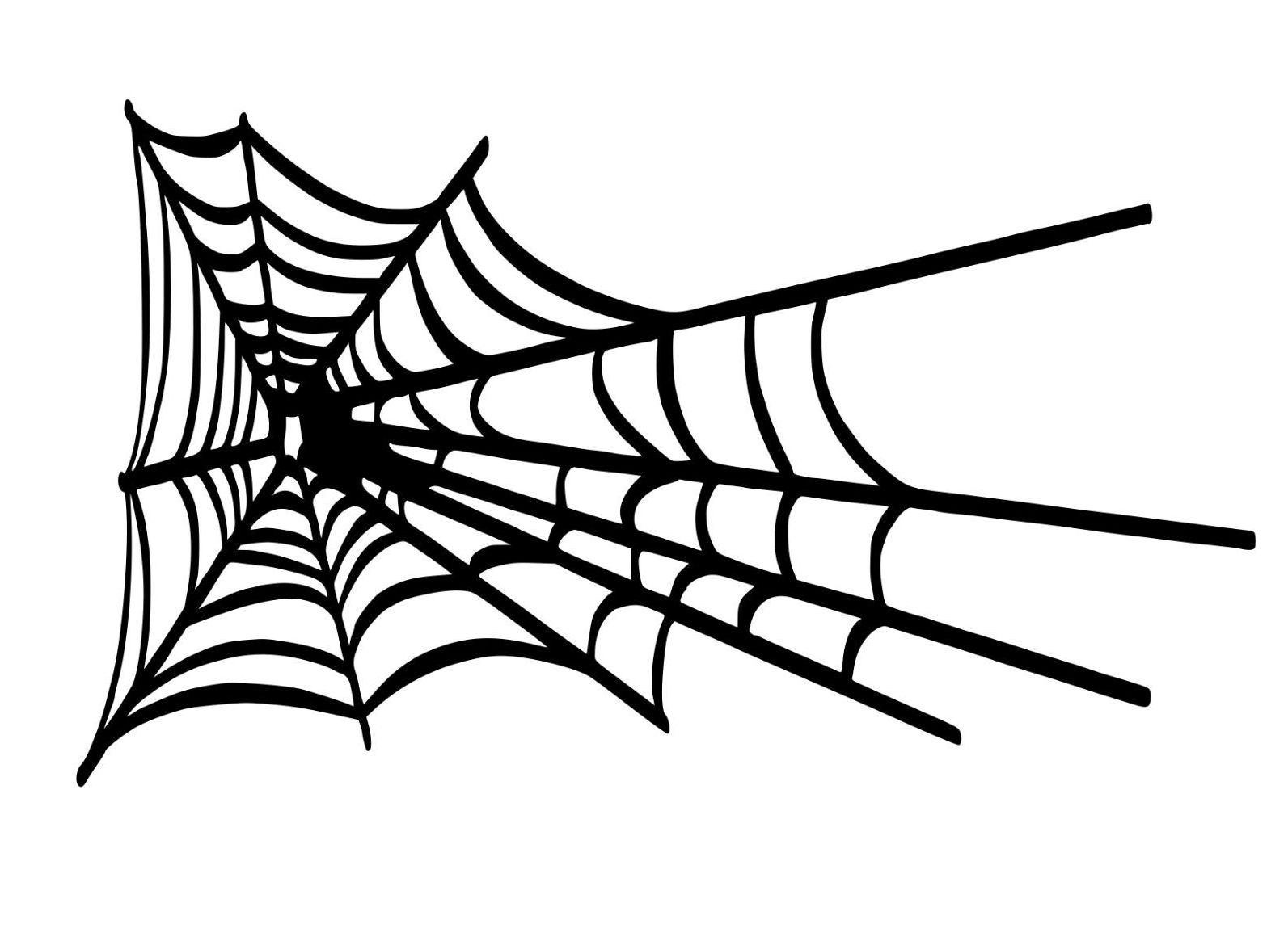 Spider Web Vinyl Decal Great for Cars, Walls Signs 18" x 10" – Select Color