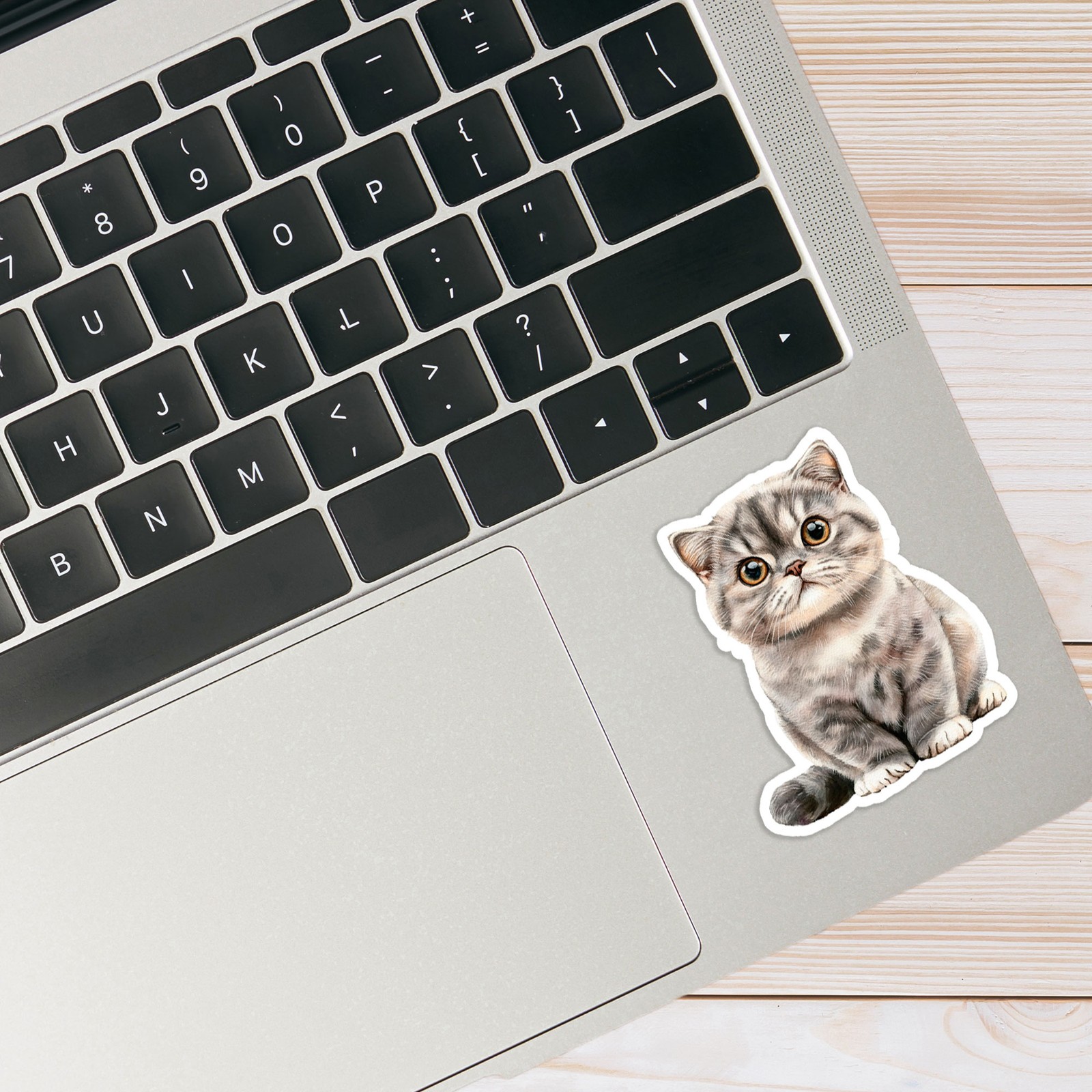 Gray Tabby Cat – Vinyl Decal Sticker – Car Window Laptop – #15