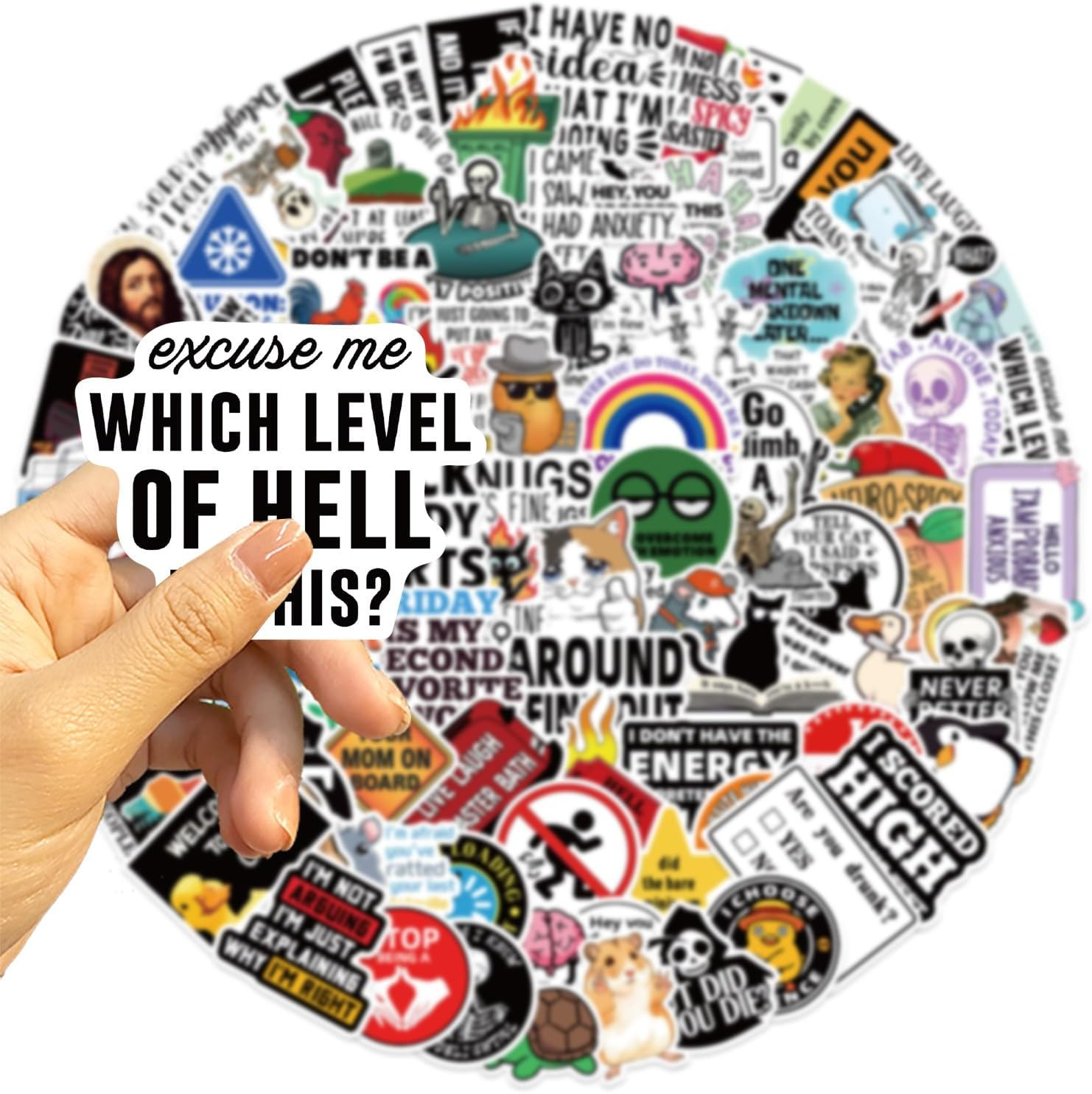 100 PCS Funny Stickers for Adults Snarky Meme Prank Meme Dirty Hilarious Sticker