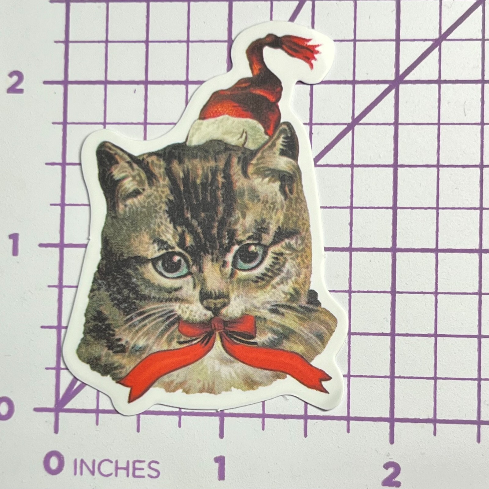 Christmas Tiger Kitty Surprise- Vinyl Sticker Decal Sticker Bomb Humor Funny Cat