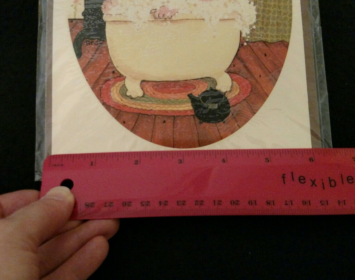 Vintage Meyercord Water Dip Decal Sticker Grannycore Old Lady Bathroom Bath Tub