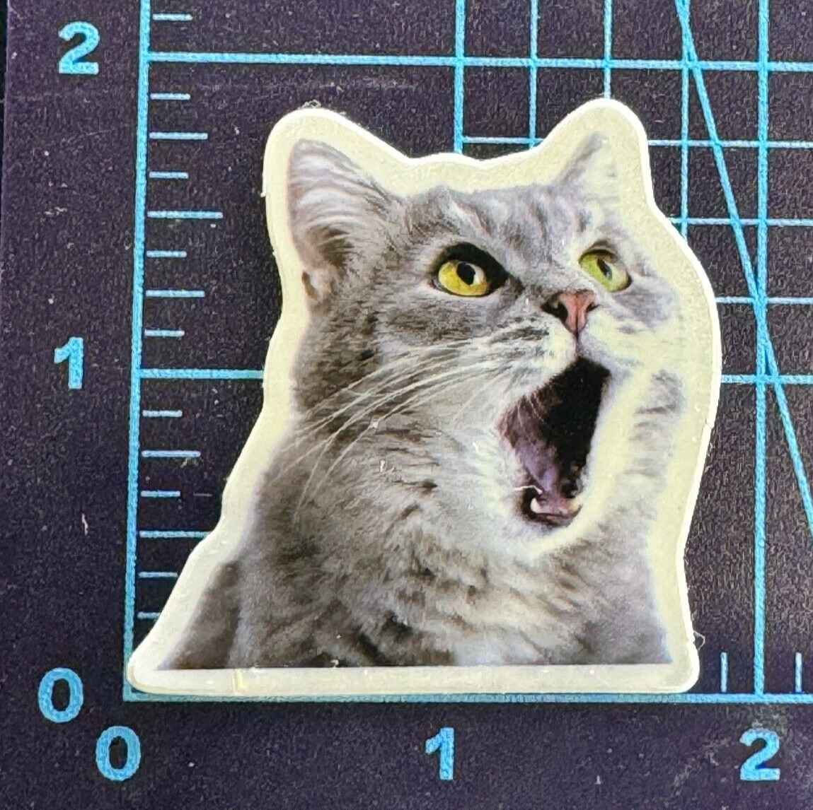Shocking News – Gossip Cat ! Vinyl Sticker Decal Sticker Bomb Statement No Way