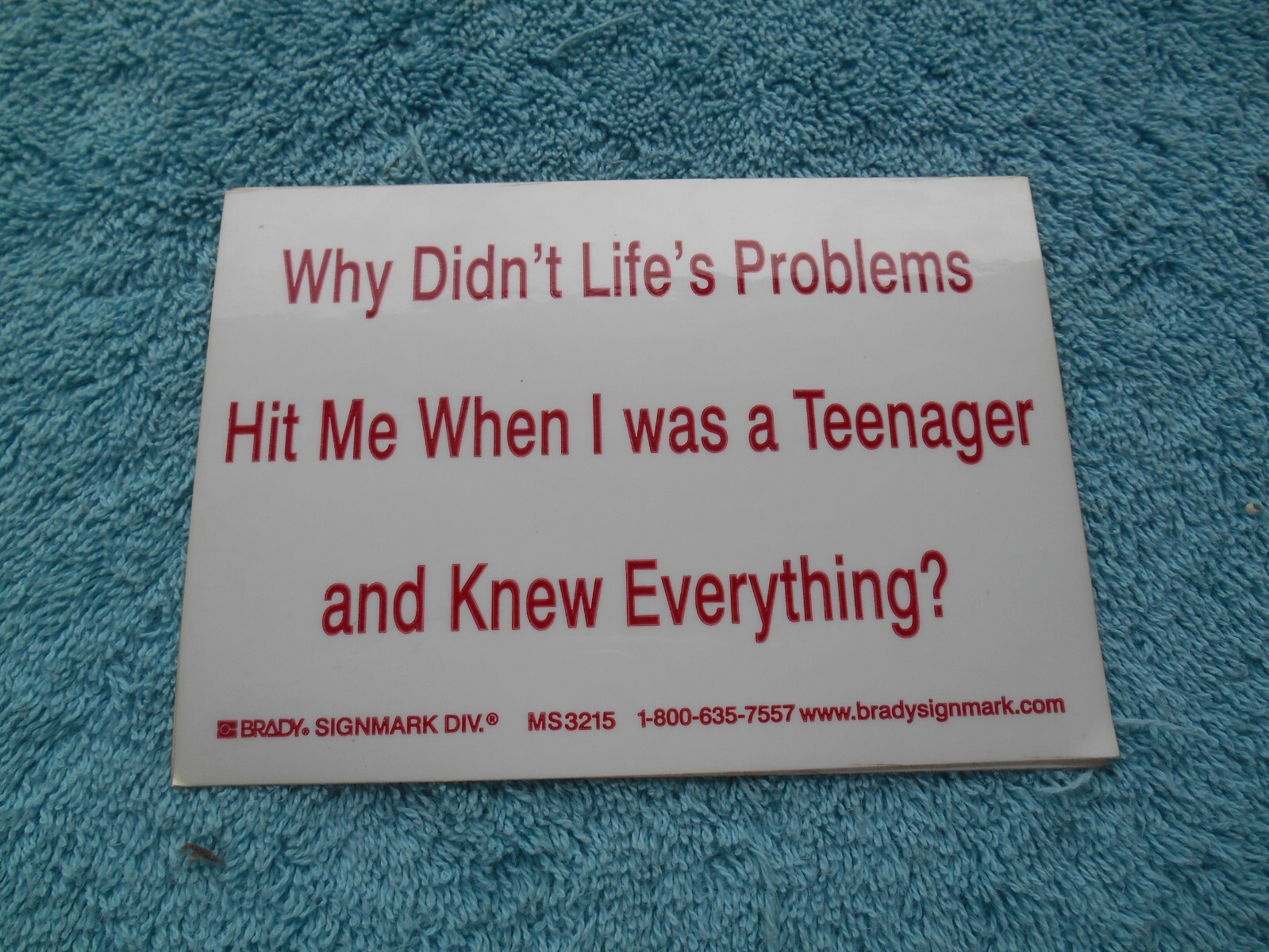 WHY DIDN'T LIFES PROBLEMS HIT ME WHEN I WAS A TEENAGER AND KNEW EVERYTHING?