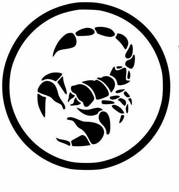 Zodiac Sign Vinyl Decal Stickers Astrological Art Car Window Decor USA Seller
