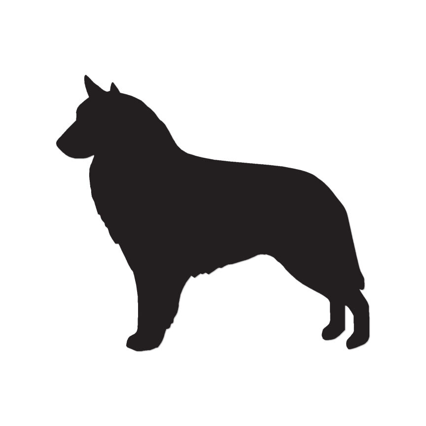 Belgian Sheepdog Dog – Vinyl Decal Sticker – Multiple Color & Sizes – ebn1920