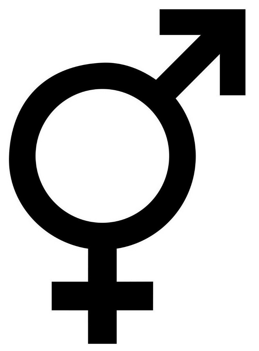 INTERSEX GENDER SYMBOL Vinyl Sticker Sign Hermaphrodite Androgyny Die Cut Decal