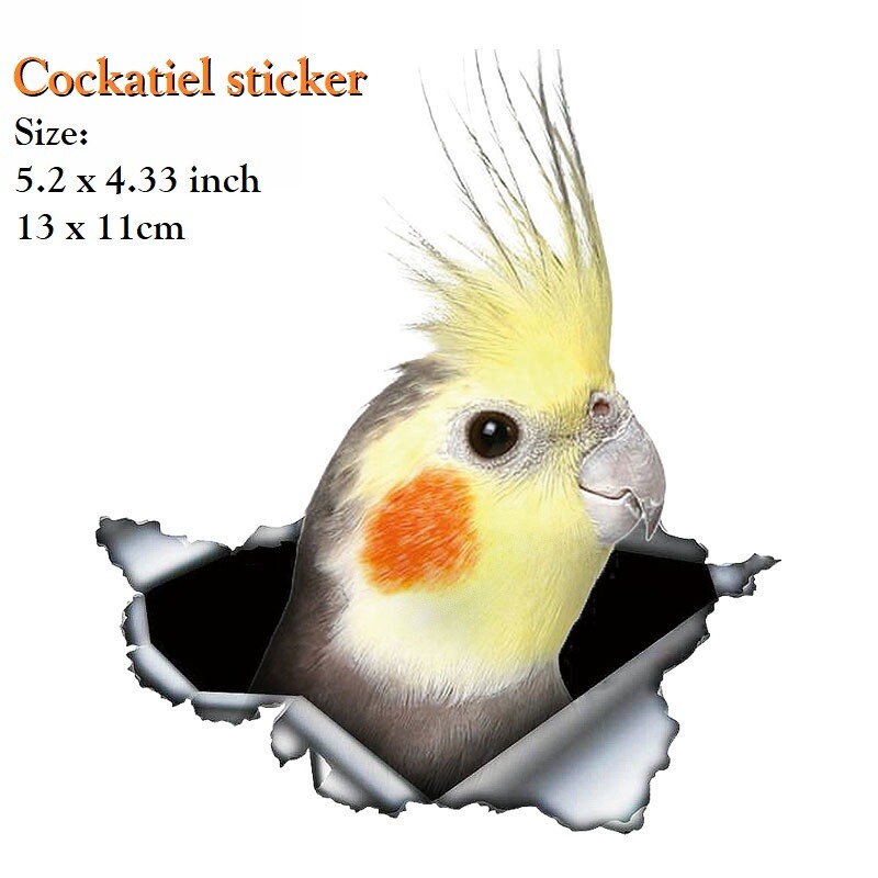 Cockatiel bird sticker, bird, parrot sticker for car laptop office room