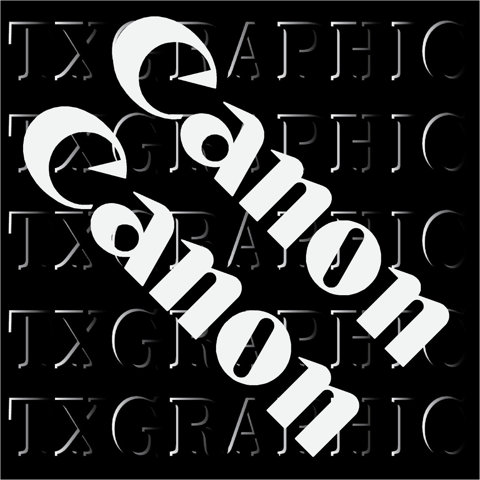 (PAIR) Canon Logo Decal Vinyl Sticker Camera Camcorder DSLR Printer Lens
