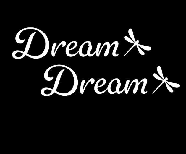 2 Pack-Dream Vinyl Decal Sticker | Rearview Mirror | Side Mirror | Car Window