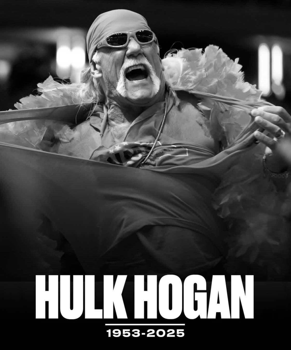 Hulk Hogan RIP Wrestling NWO Sticker Decal Laptop Wall Mirror Tumblr Locker