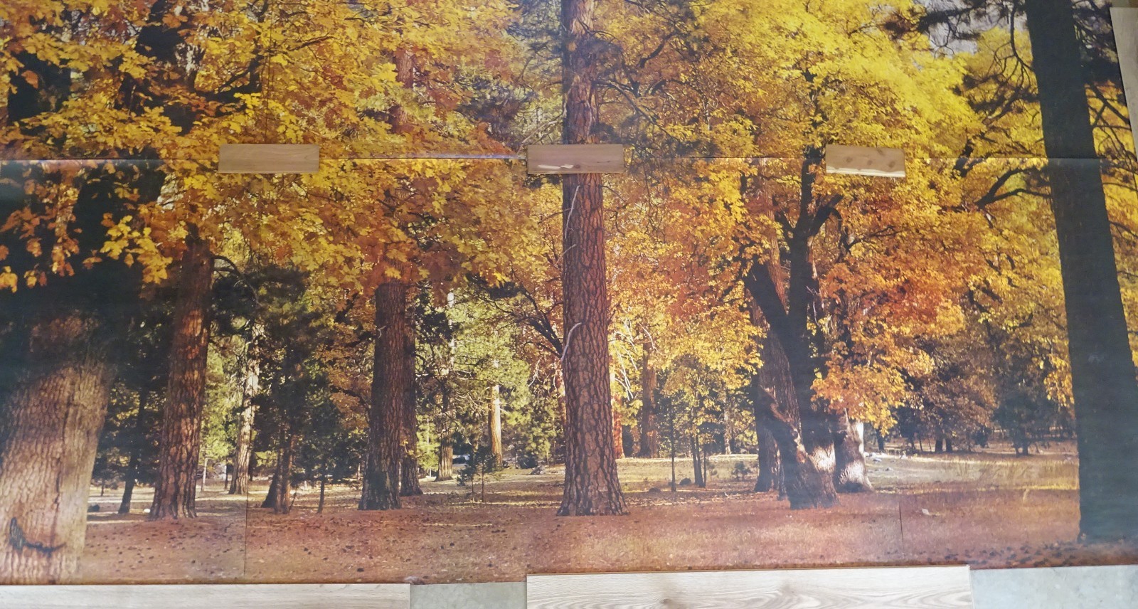 Full Wall Photo Mural Autumn Yosemite National Park Josef Muench 8’ 8” x 12’ 6”