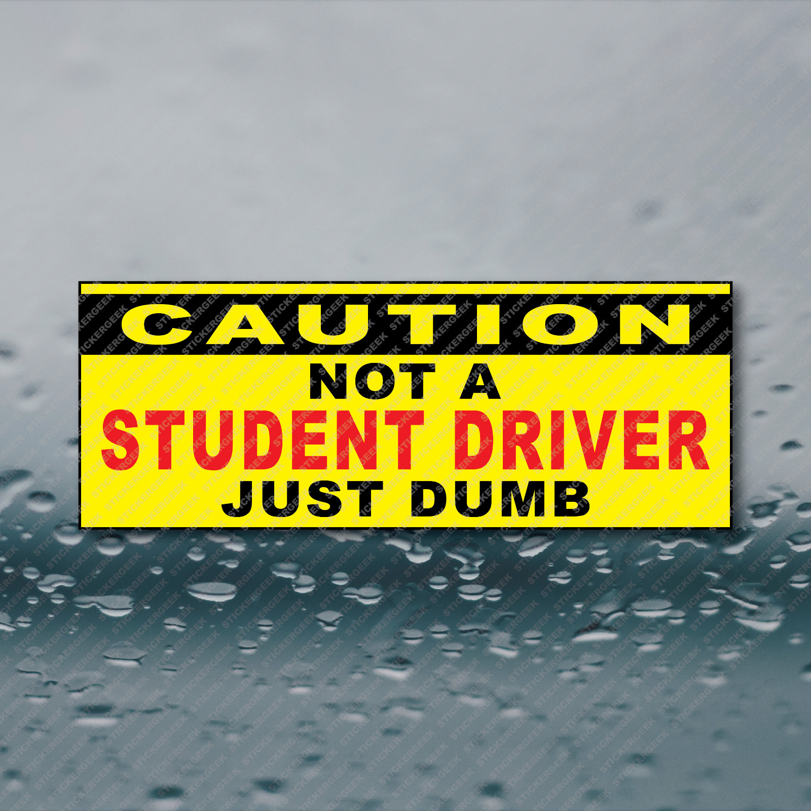 CAUTION Not A Student Driver Just Dumb Meme Prank Gag Vinyl Decal Sticker 8×3
