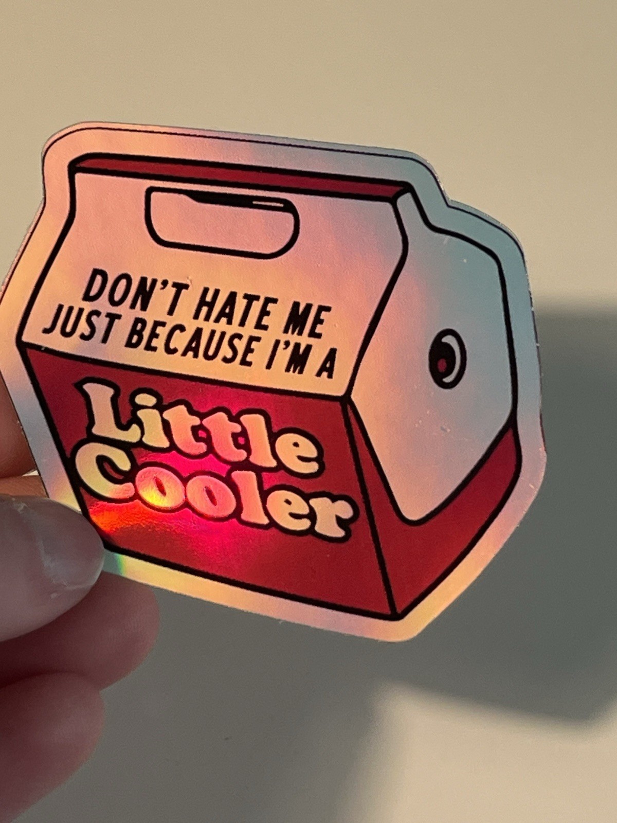 Don't Hate Me Little Cooler 3 Inch Funny Humor Holographic Waterproof Sticker