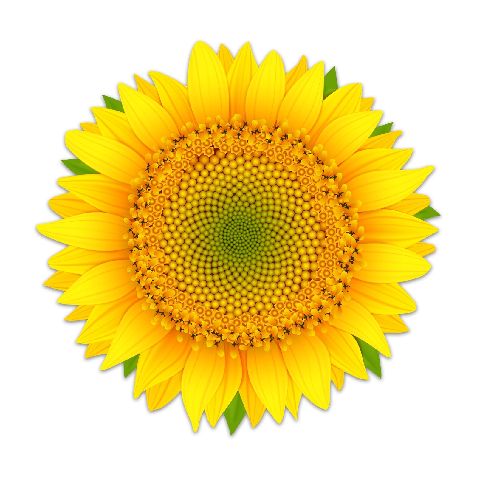 Bright Sunflower Sticker Yellow Car Vinyl Decal Sun Flower Window Bumper