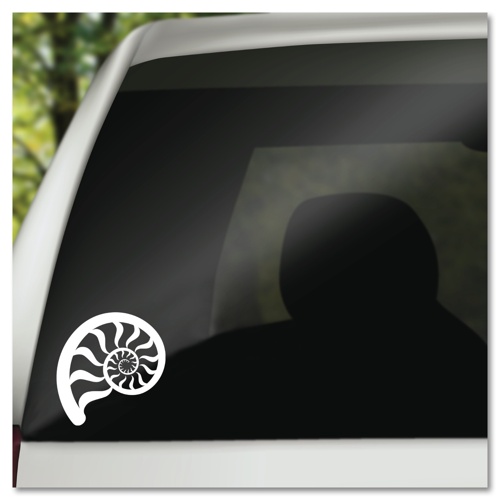 6" Nautilus Shell Nature Vinyl Decal Sticker