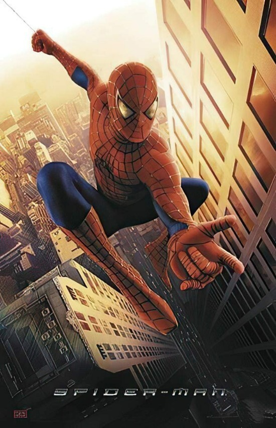 Spiderman Comic Wall Vinyl Decal Poster Graphic Print Removable Adhesive Backing
