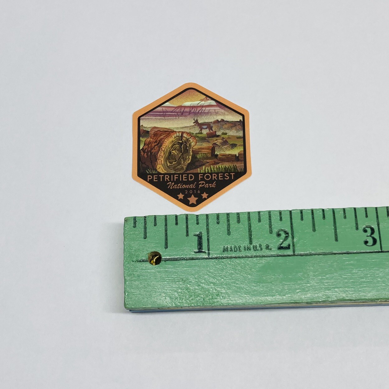 Petrified Forest National Park Sticker Decal Vinyl Hiking Nature Souvenir Tc6