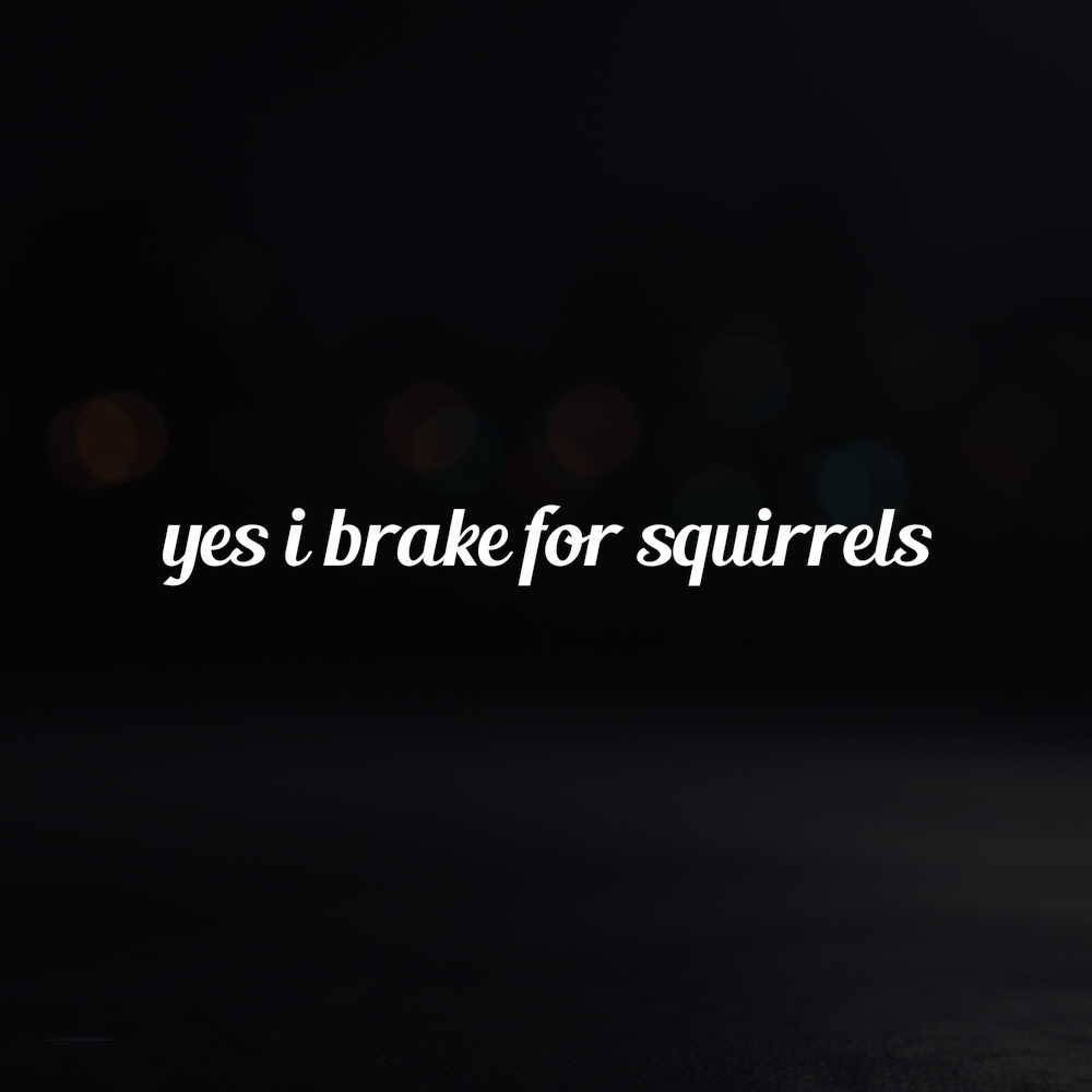 8in Vinyl Decal Sticker – "yes i brake for squirrels"