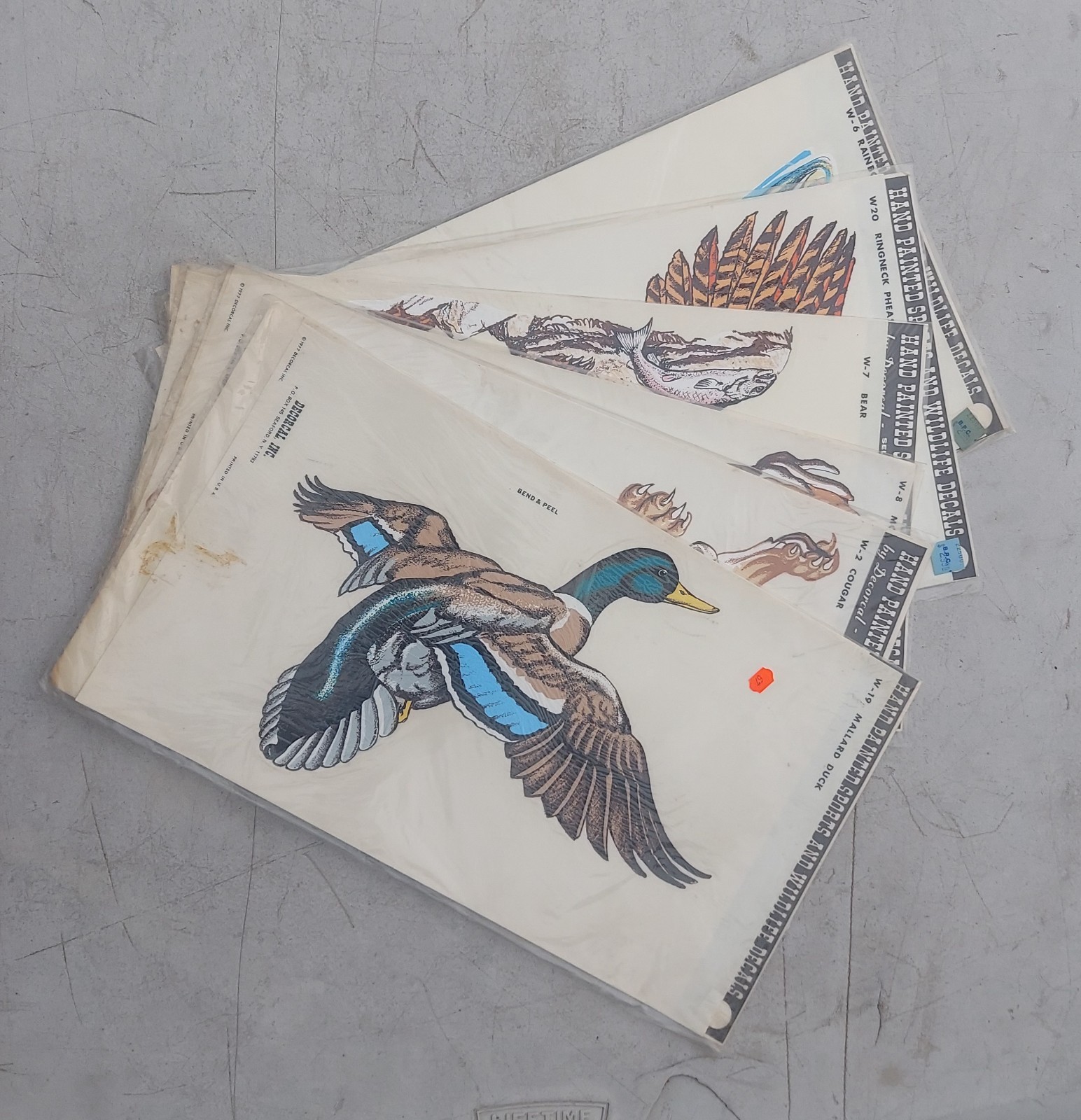 Vtg Wildlife Window Decals Lot Of 4 NOS Bear Moose Cougar Duck 1970's Hunting