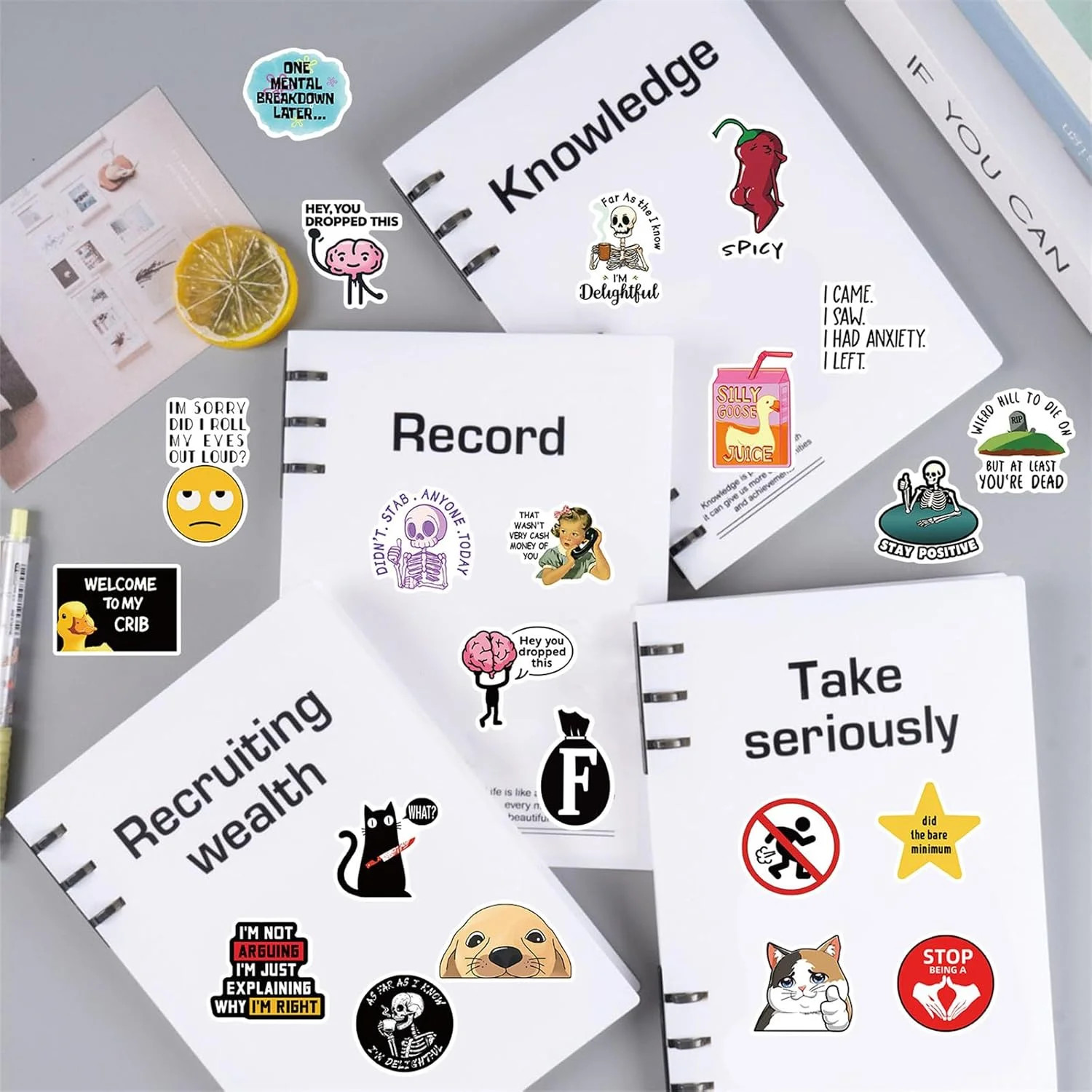 100 Pcs Funny Stickers for Adults (Dirty) Meme Water Bottles Sticker Pack Waterp
