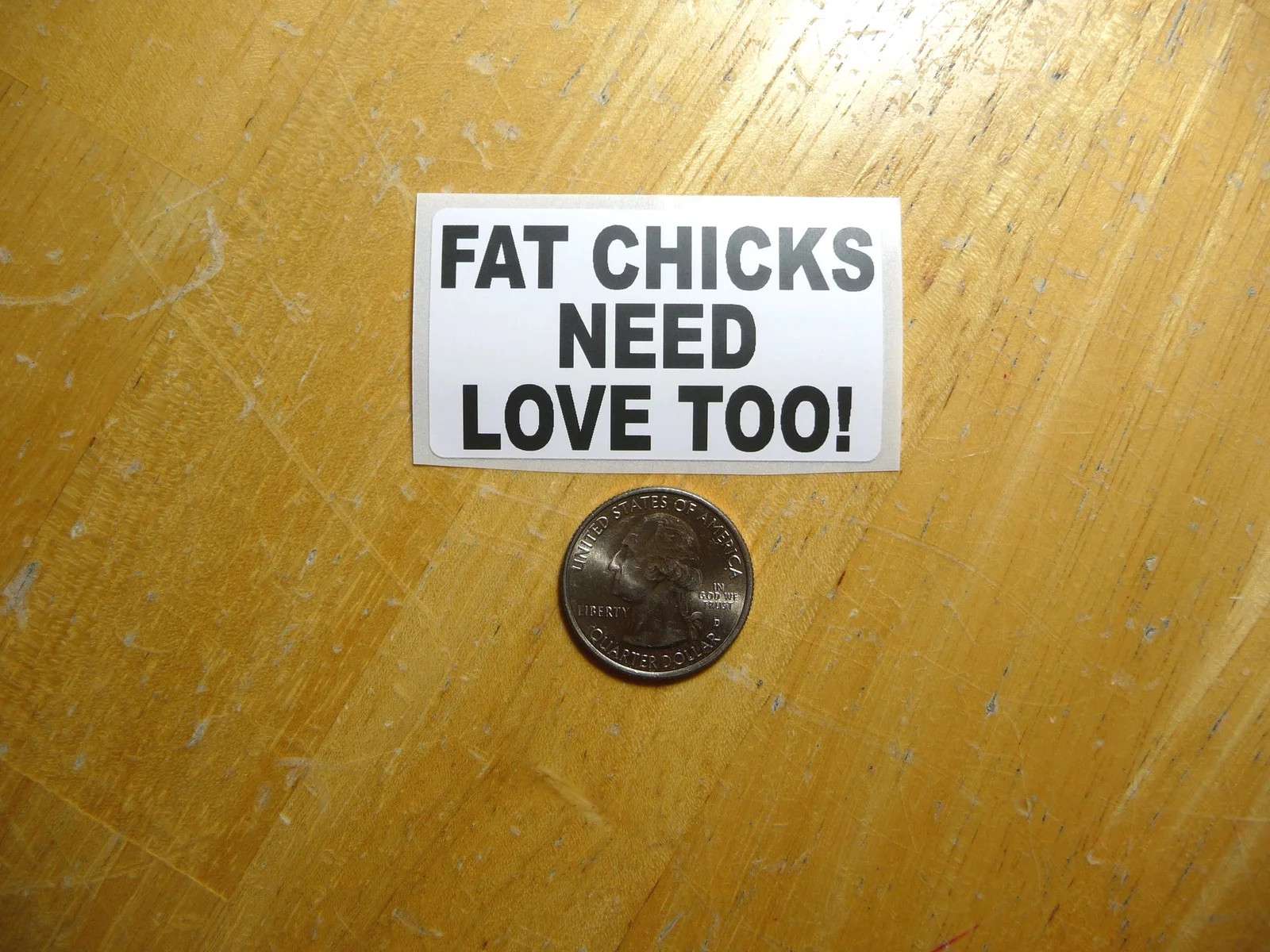 FAT CHICKS NEED LOVE TOO STICKER DECAL 1 – 50 BULK PACK FUNNY SUPPORT KINDNESS