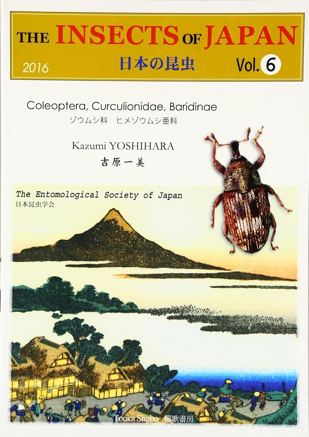 The insects of Japan vol.6 Coleoptera, Curculionidae, Baridinae Japan Japanese