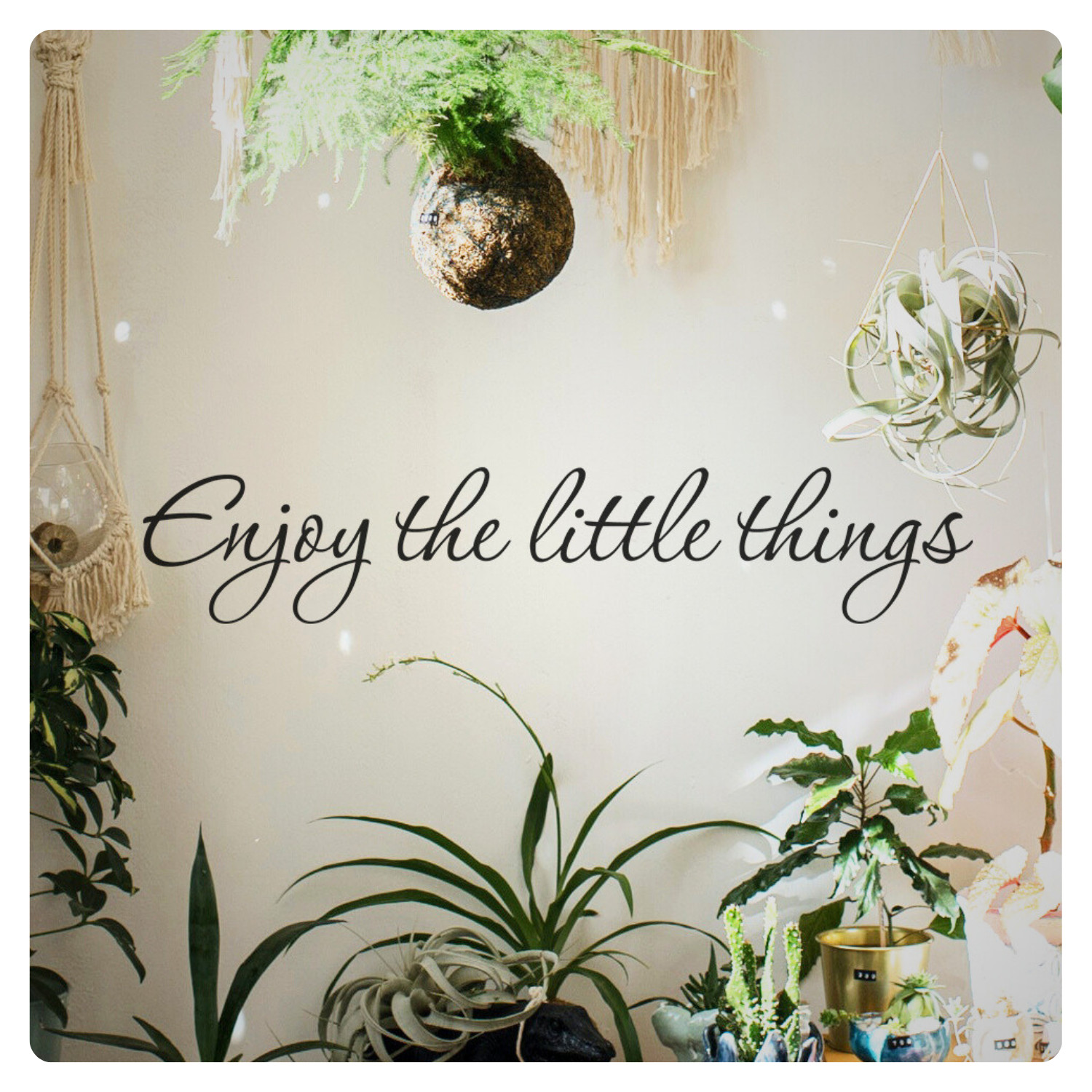 Enjoy The Little Things Inspirational Love Wall Decal Sticker Quote Vinyl Decor