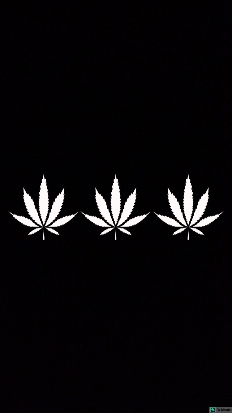MARIJUANA POT LEAF Wholesale Lot 3 Vinyl Decal Stickers Window Bumper 3.5”