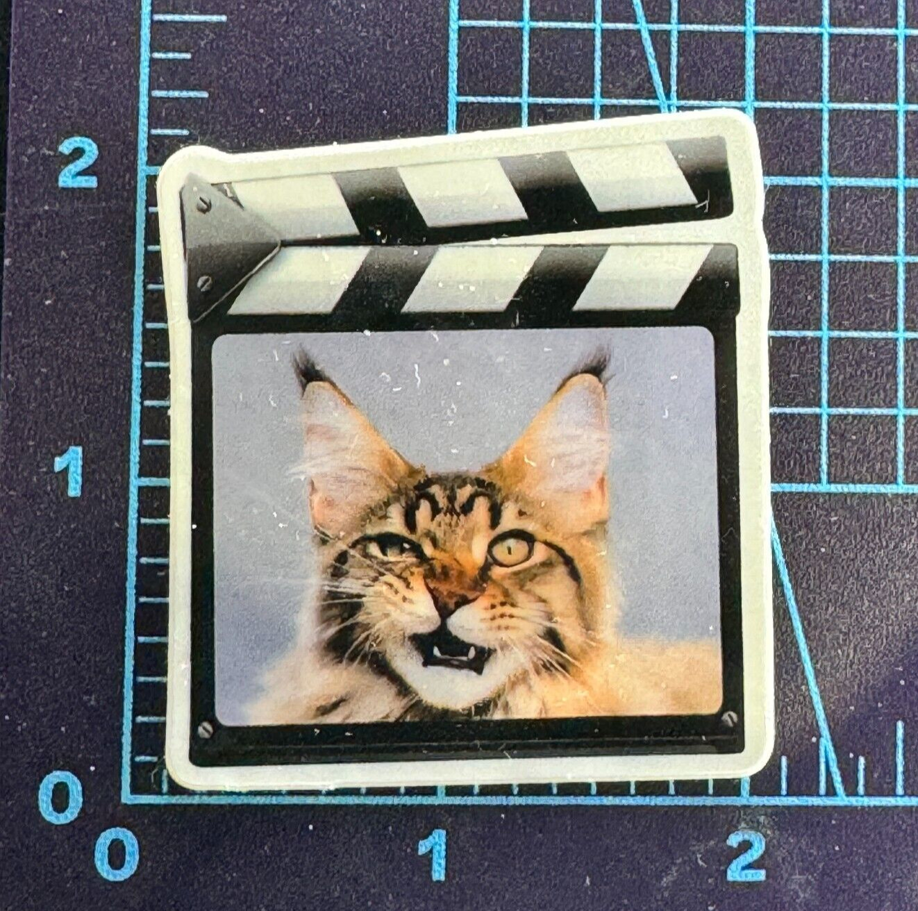 Hollywood Staring Cat – Vinyl Sticker Decal Sticker Bomb Statement Star Wink