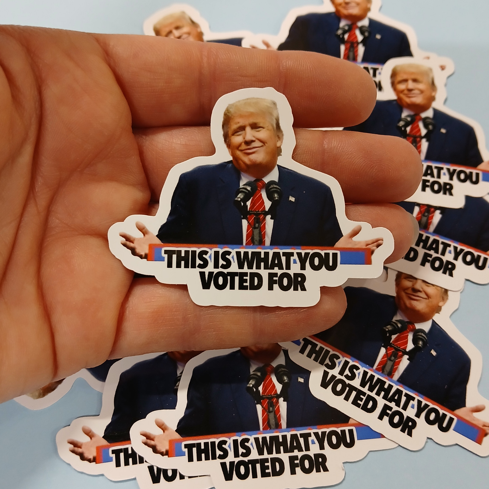Trump Sticker -"This is What You Voted For" Anti-Trump Political Meme – 12 pack