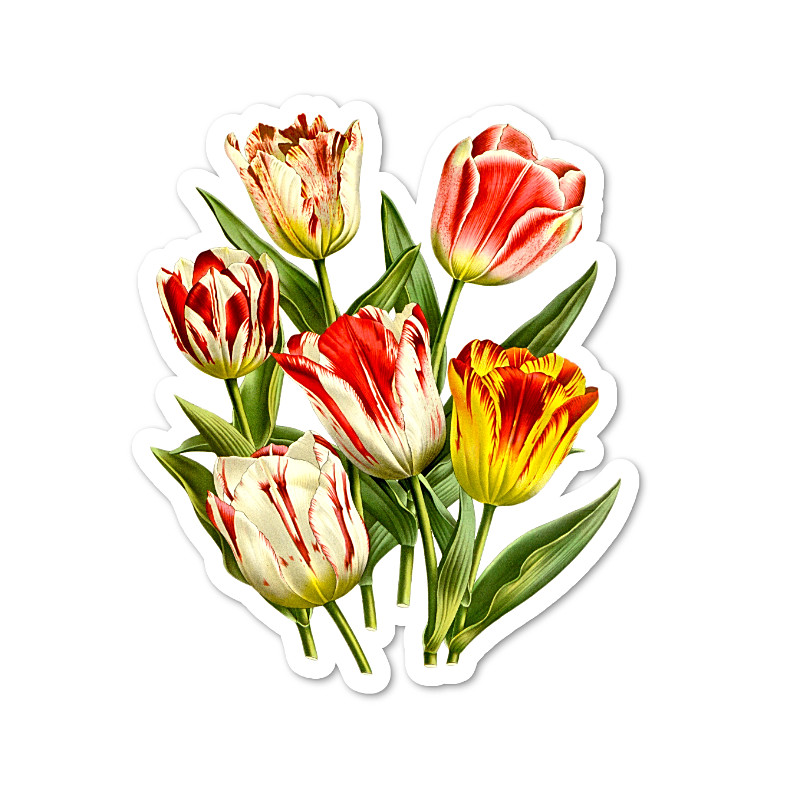 Tulips Botanical Vinyl Sticker, Water Resistant, Scrapbooking, Laptop, 2 Sizes