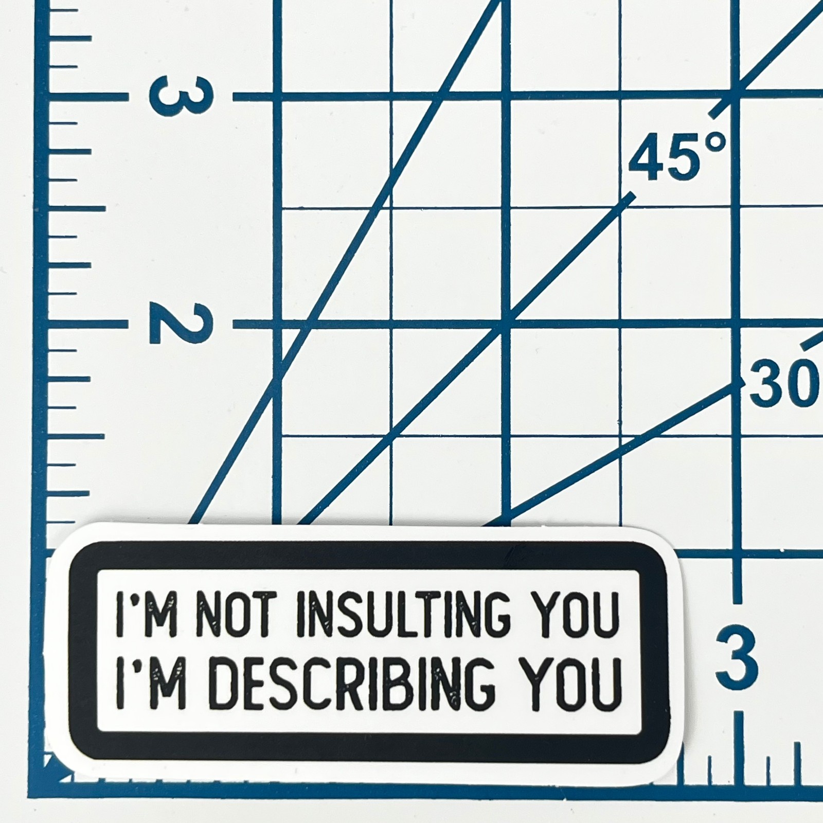 I'm Not Insulting You Im Describing You Vinyl Sticker Novelty Sarcastic Gift Art