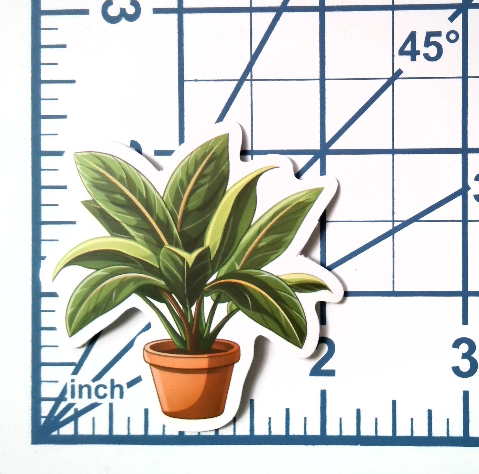 Vinyl Sticker Die Cut Chinese Evergreen Decal Aglaonema Plant Journal Scrapbook