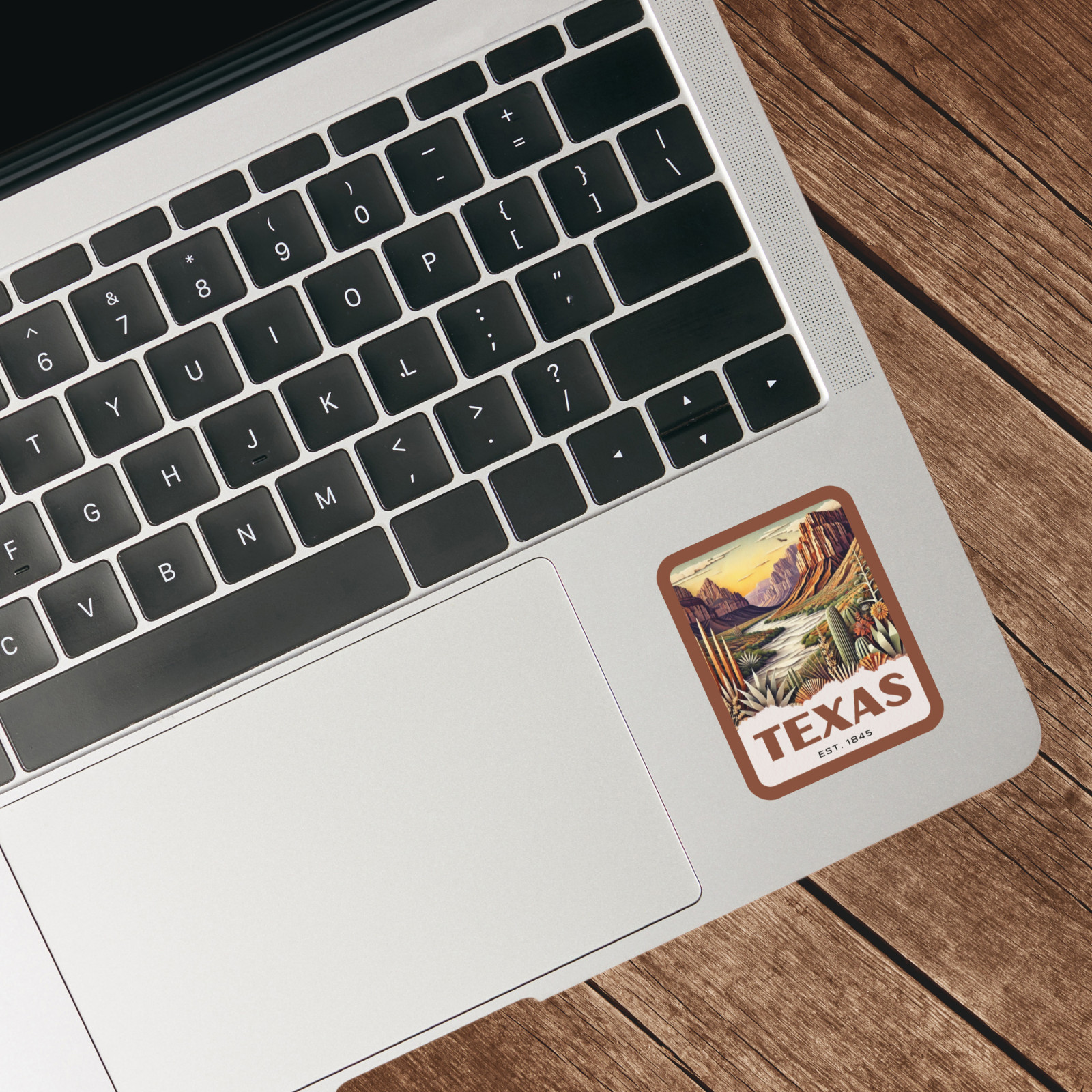 Texas State Sticker, Paper Collage Look, Big Bend National Park Vinyl Decal
