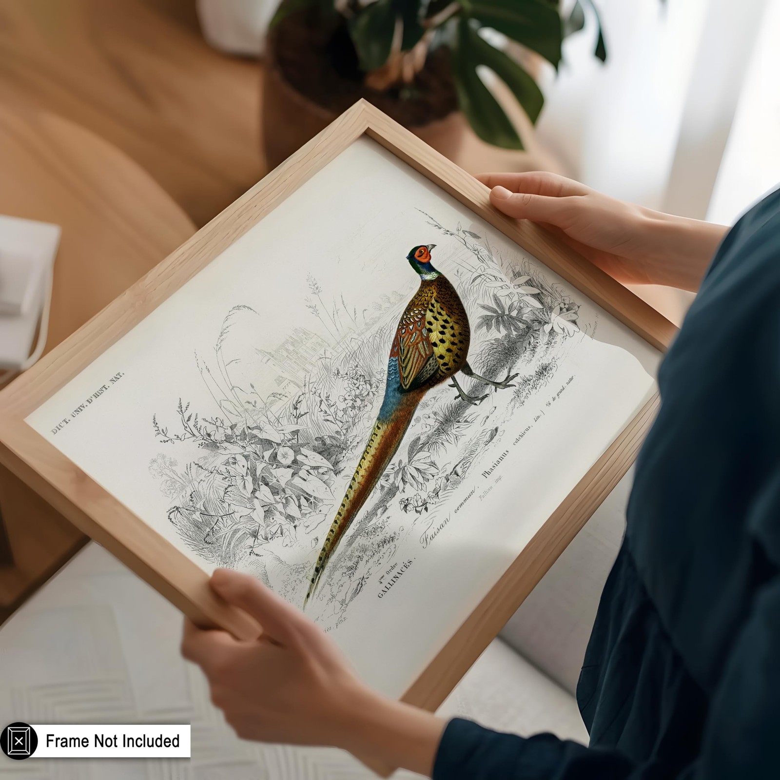 Poster Master Vintage Ring Necked Pheasant Poster – Retro Wildlife Print – Bi…