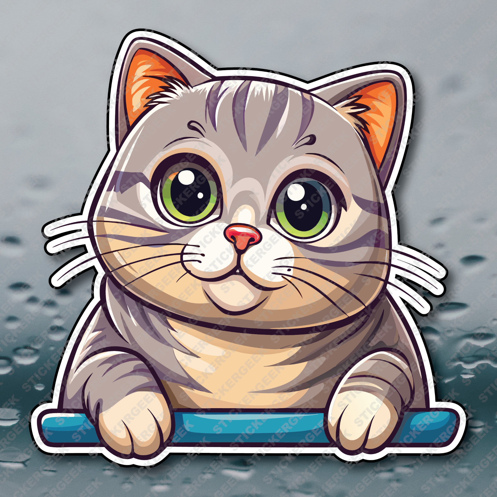 Cute Scottish Fold Cat Peeker Peek-A-Boo Window Water Bottle Laptop Sticker 4×4