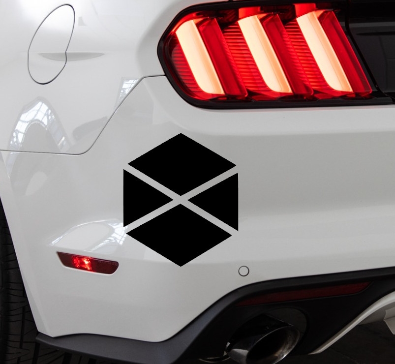 Titan Logo Destiny Guardian Indoor/Outdoor Vinyl Decal Matte Black/White
