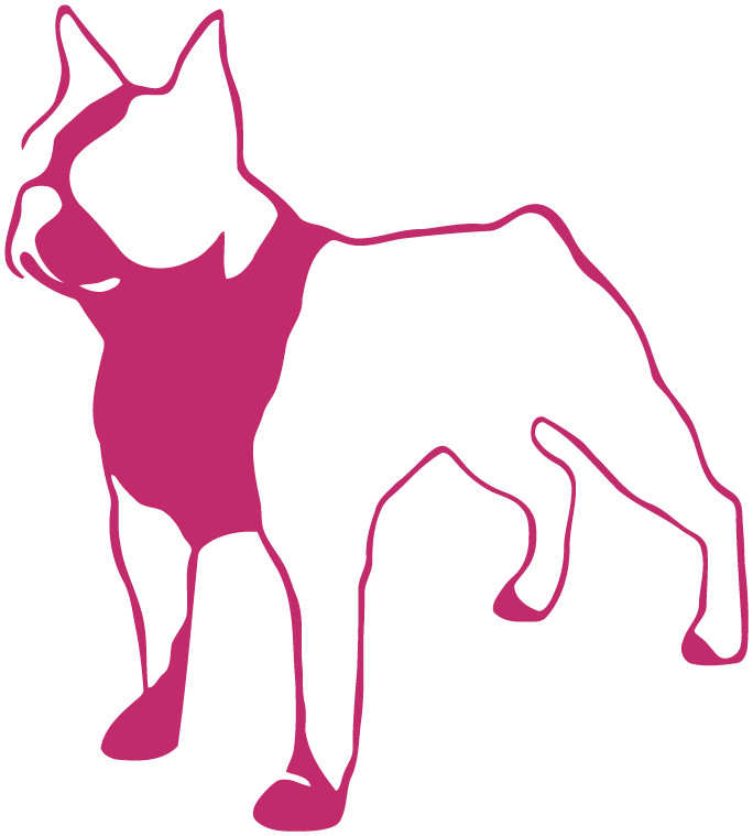 Boston Terrier Die Cut Vinyl No Background Multiple Colors Decal Made USA