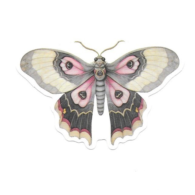 Mauve Charcoal Silk Moth Vinyl Sticker Vintage Pink Insect Journal Laptop Art