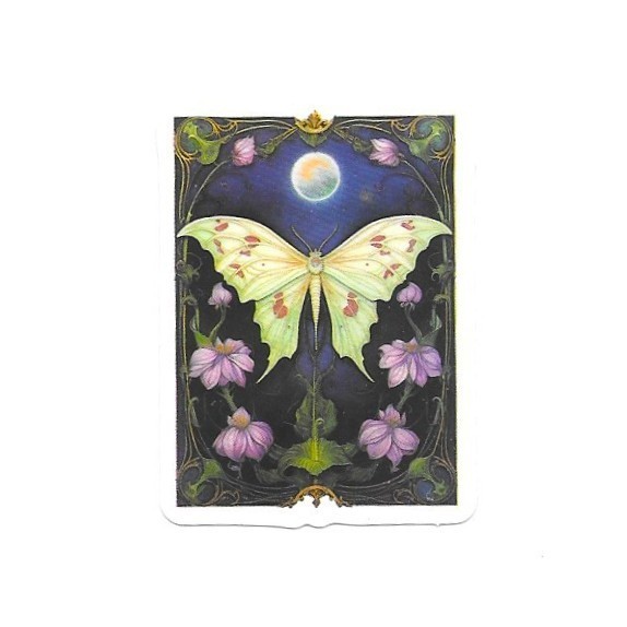Mystic Luna Moth Tarot Card Vinyl Sticker Celestial Witchy Insect Journal Laptop