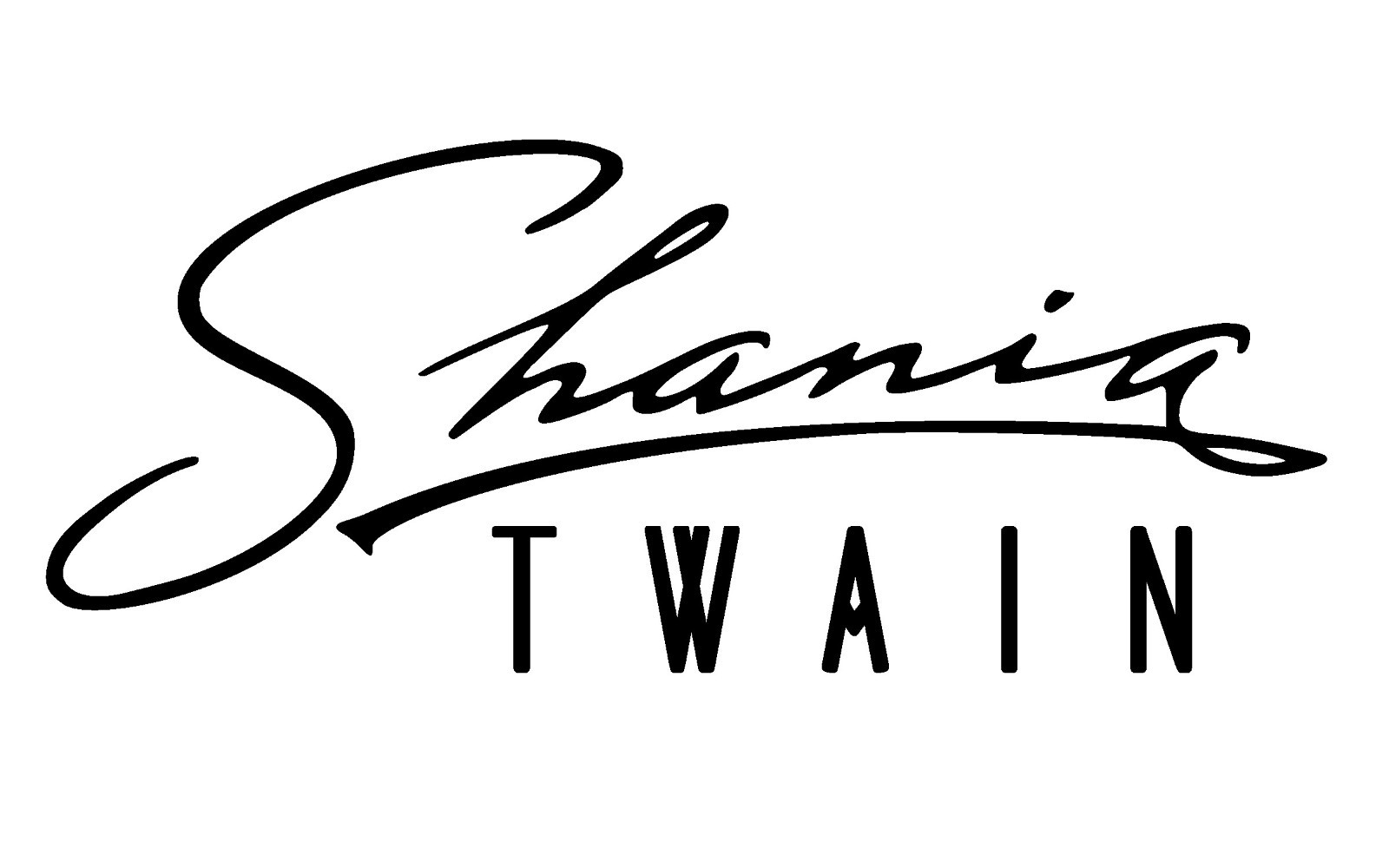 Shania Twain Signature Vinyl Decal, USA seller