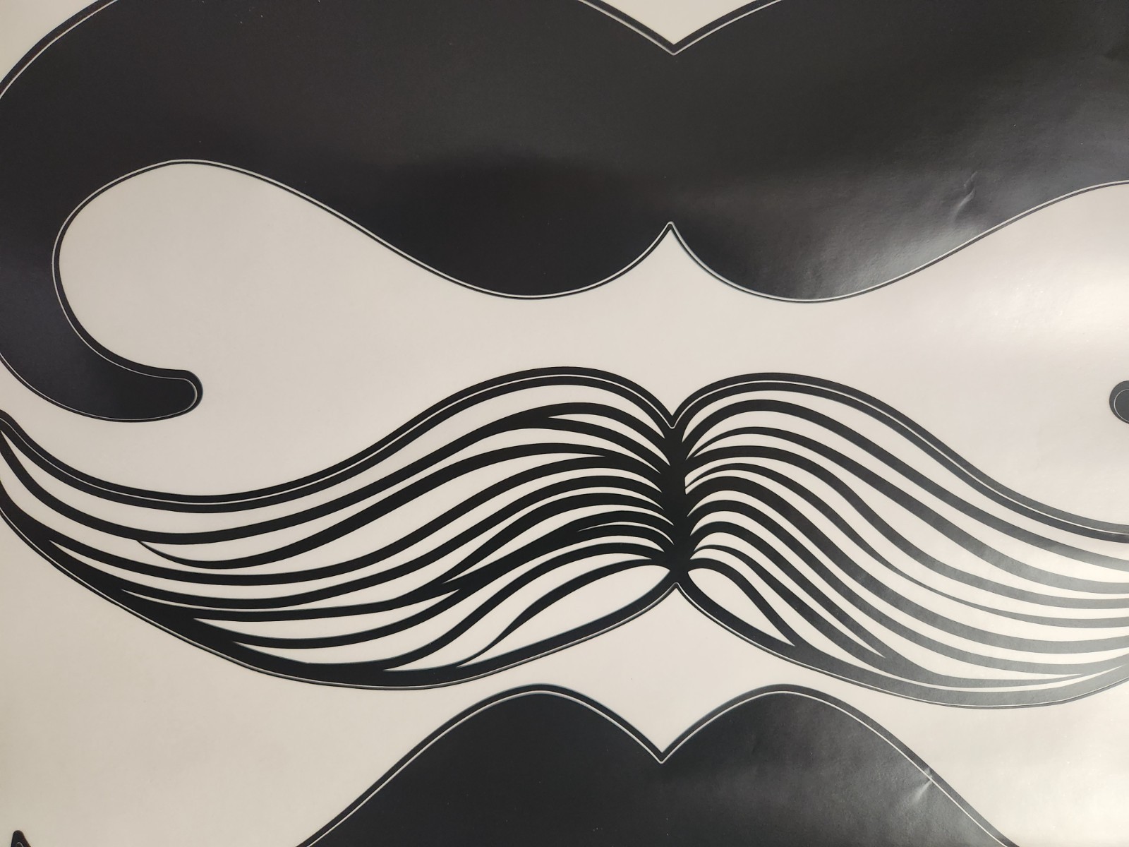 5 Moustache Stickers 15 – 17" Wide