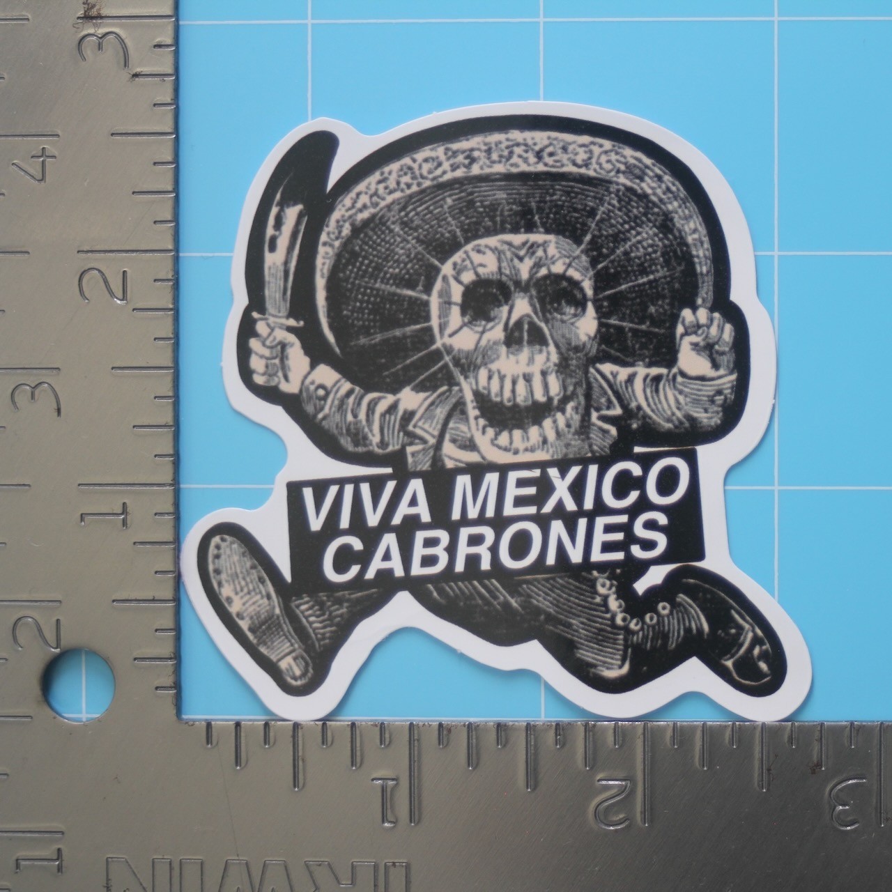 Mexican Humor Sticker (VIVA MEXICO CABRONES) Mexico Chicano Funny, Gloss Decal